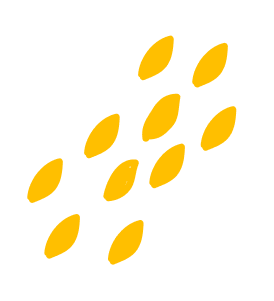 shape
